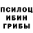 Галлюциногенные грибы Psilocybine cubensis jjmiettunen