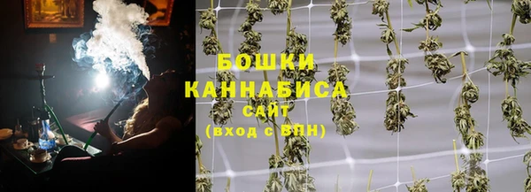 сатива Зерноград