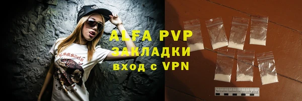 прущие грибы Зеленокумск