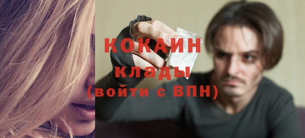 прущие грибы Зеленокумск