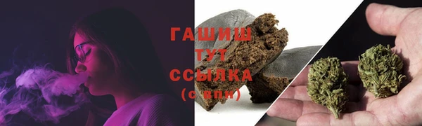 сатива Зерноград