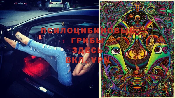 apvp Заволжск
