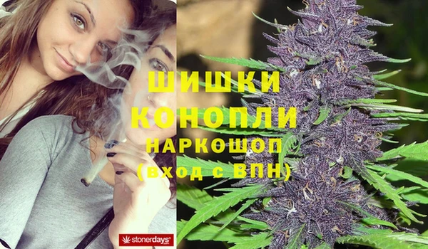 2c-b Заводоуковск