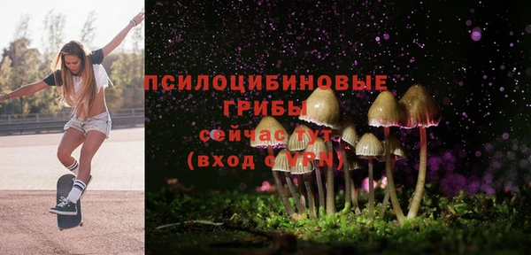 прущие грибы Зеленокумск