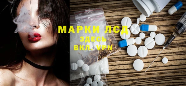 прущие грибы Зеленокумск