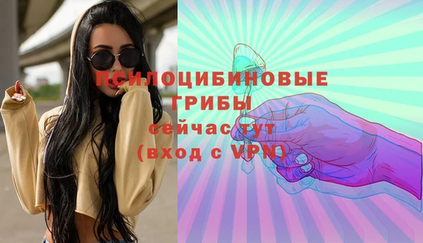 сатива Зерноград