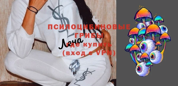 прущие грибы Зеленокумск