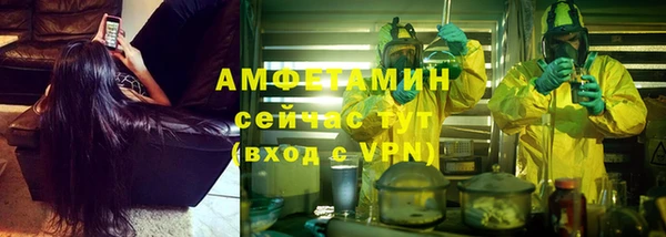 сатива Зерноград