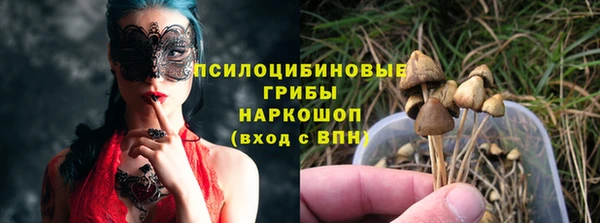 2c-b Заводоуковск