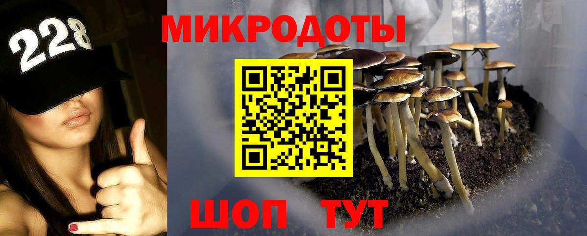 Псилоцибиновые грибы MAGIC MUSHROOMS  Вход с VPN  Ишим 